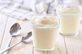 probiotico-natural-para-o-intestino