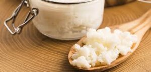 probiotico-natural-para-o-intestino