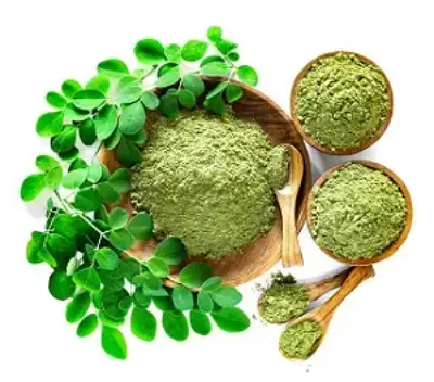 cha-de-moringa-onde-comprar
