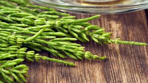 cha-caseiro-para-desinchar-barriga-e-estomago-alto