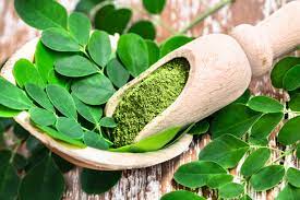cha de moringa emagrece em quanto tempo