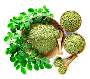 cha de moringa emagrece em quanto tempo