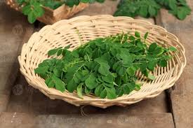 beneficios-do-cha-de-moringa-para-emagrecer
