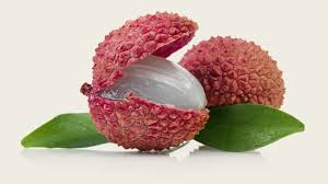 Benefícios do Chá de Moringa Para a Sua Saúde