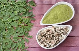 Benefícios do Chá de Moringa Para Emagrecer