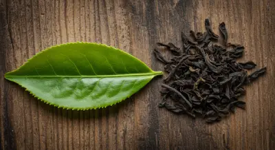 comprar-cha-preto-beneficios