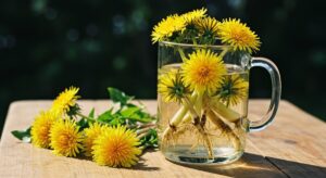 Chá Dente de Leão para o Fígado