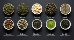 remedio-para-desinchar-a-barriga-caseiro